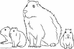 Раскраски капибара животное