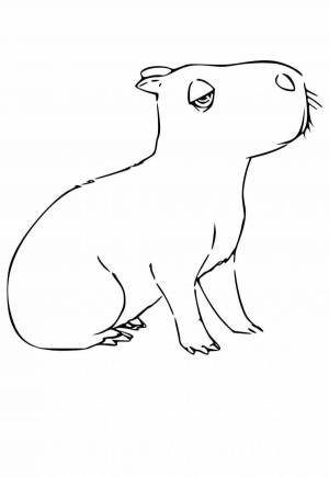 Картинки Капибара для детей