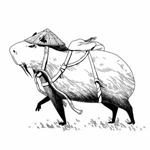 Капибара раскраска