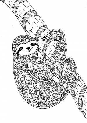 Раскраски Раскраска Узорный ленивец Антистресс, Download print coloring page