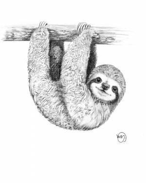 Рисунок ленивец для детей