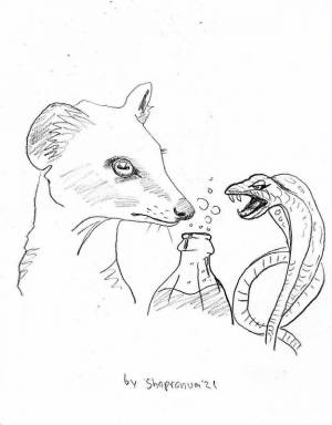 Иллюстрация мангуст