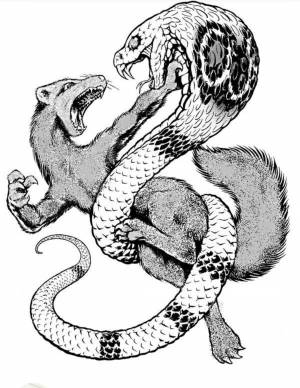 Раскраска «Забавные щенки»,  правильно