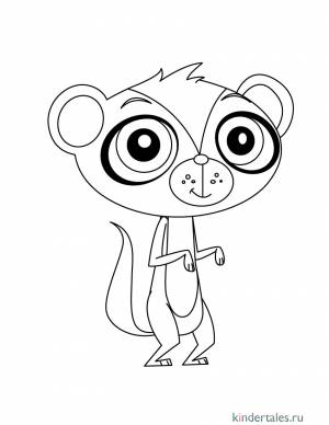 Мангуст Сунил» раскраска для детей