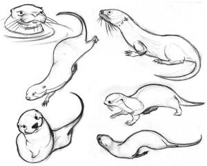 Раскраски Мангуст