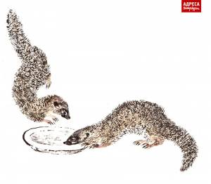 Адреса Петербурга