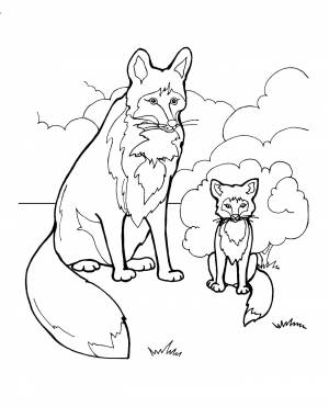 Раскраска Животные И Их Детеныши для детей