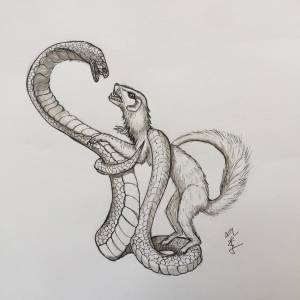 Раскраска «Забавные щенки»,  правильно