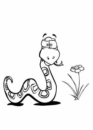 Раскраска «Забавные щенки»,  правильно