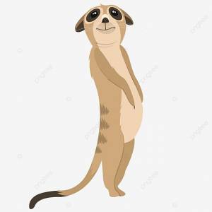 сурикат животное стоя PNG , милый, мультфильм, мангуст PNG картинки и пнг PSD рисунок для й загрузки