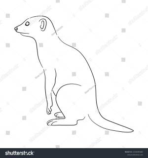 Handdrawn Meerkat Sketch Vector Illustration