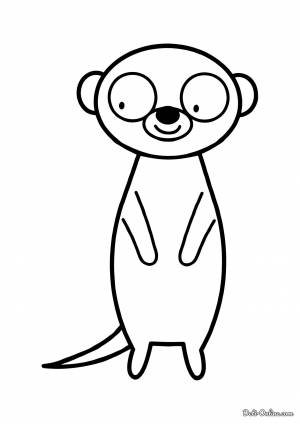 Сурикат раскраска