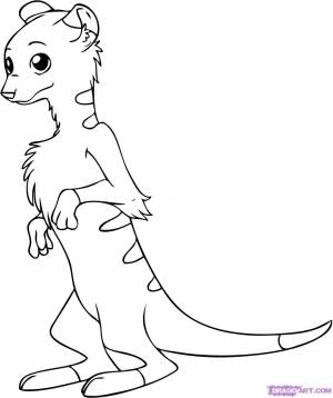 Сурикат раскраска