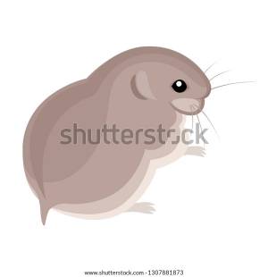 Polar Lemming Grey Fur Arctic Animal
