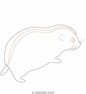 Лемминг рисунок карандашом для детей