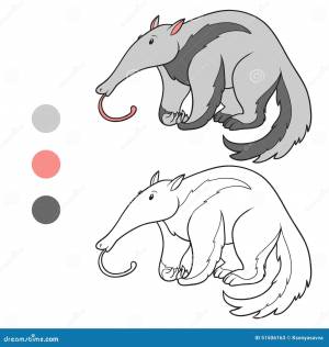 Книжка-раскраска