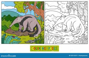 Книжка-раскраска