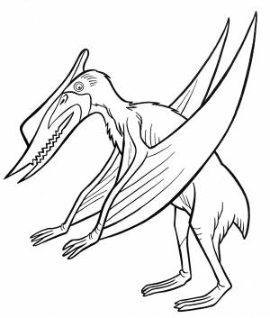 Раскраска Птеродактиль стоит на лапках