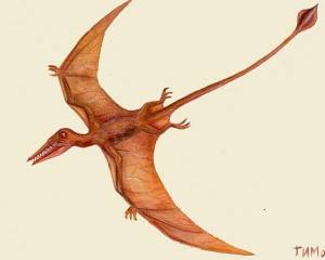 Птеродактиль