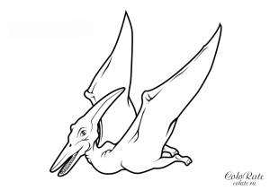 Раскраска Летящий птеранодон