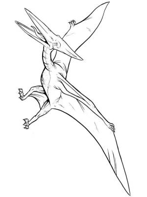 Раскраски Птеродактиль