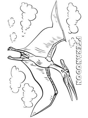 Раскраски Птеродактиль