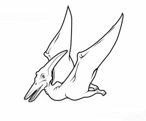 раскраски птеродактиль