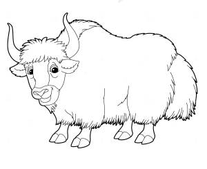 Раскраски Як