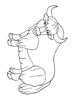 Раскраски Як