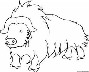 Раскраски Як для детей