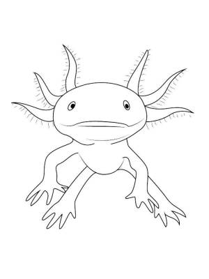 Раскраски Аксолотль