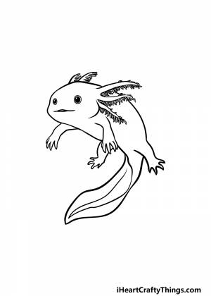 Аксолотль раскраска