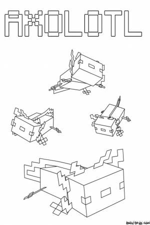 Качественная раскраска Аксолотль