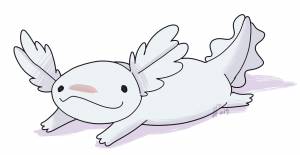 Аксолотль раскраска