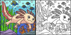 Аксолотль раскраски страницы цветные иллюстрации