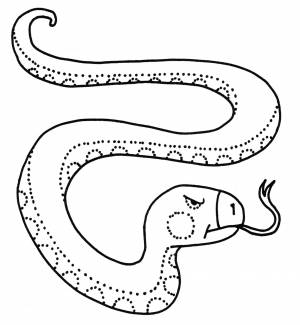 Раскраска Сердитая змея