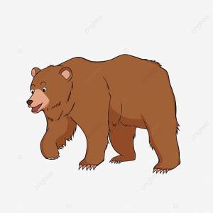 Autocolantes Desenhados à Mão Clipart De Urso Pardo PNG , Urso Clipart, Bear Clip Art, Mapa Imagem PNG e PSD Para Download Gratuito