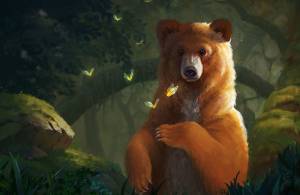 Раскраски медведей и медвежат