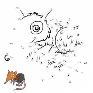 Игра чисел, развивающая игра для детей, черная и рыжая землеройка
