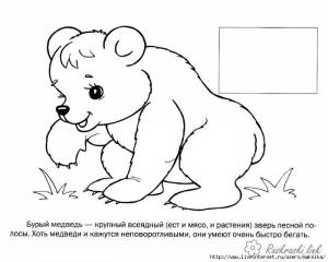 бурый Раскраски