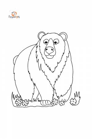 Раскраска Бурый Медведь в Азии ♥ Онлайн и !
