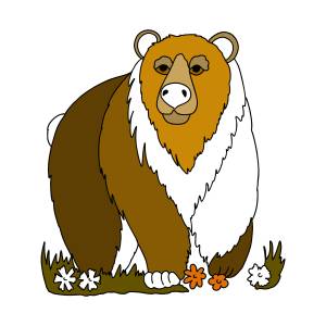 Раскраска Бурый Медведь в Азии ♥ Онлайн и !