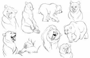 Бурый медведь мультяшный рисунок