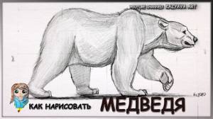 Как нарисовать медведя в полный рост карандашом