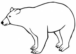 Раскраска Черный медведь 7