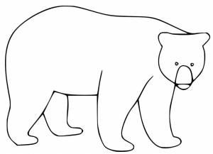 Раскраска Черный медведь