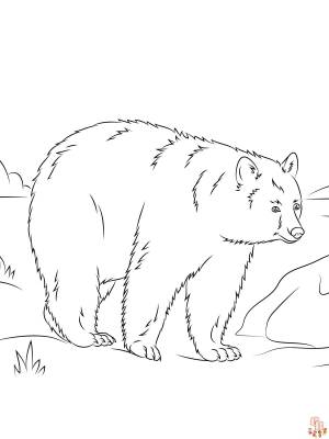 Исследуйте дикую природу с бесплатными раскрасками медведей для печати