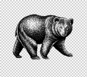 Медведь Американский черный медведь 熊, медведь, акварельная живопись, млекопитающее, животные png