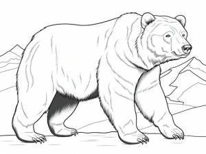 Раскраска медведь гризли для детей