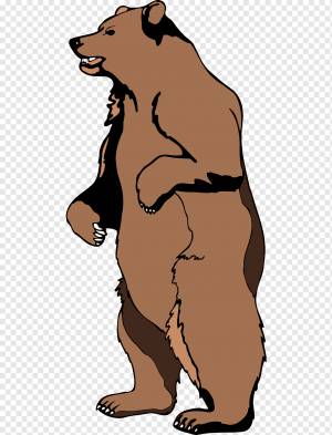 Бурый медведь Американский черный медведь Белый медведь, медведь, млекопитающее, животные, плотоядный png